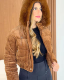 Casaquinho Jaqueta Dayfit